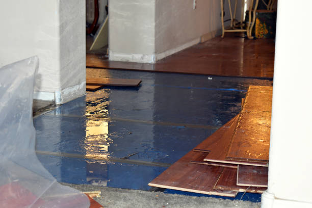 Professional Basement Flood Cleanup technician working in Edinburg, VA