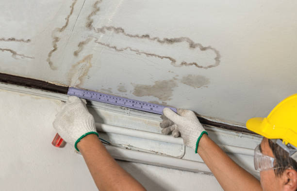 Reliable Basement Flood Cleanup contractor in Edinburg, VA by Aqua Guard Water Damage